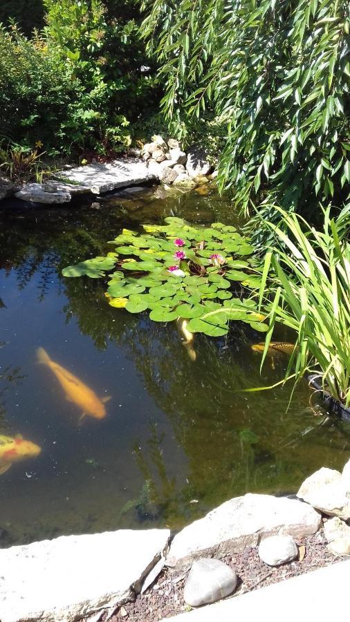 לינה וארוחת בוקר ביסקארוס Le Jardin De Nemo מראה חיצוני תמונה