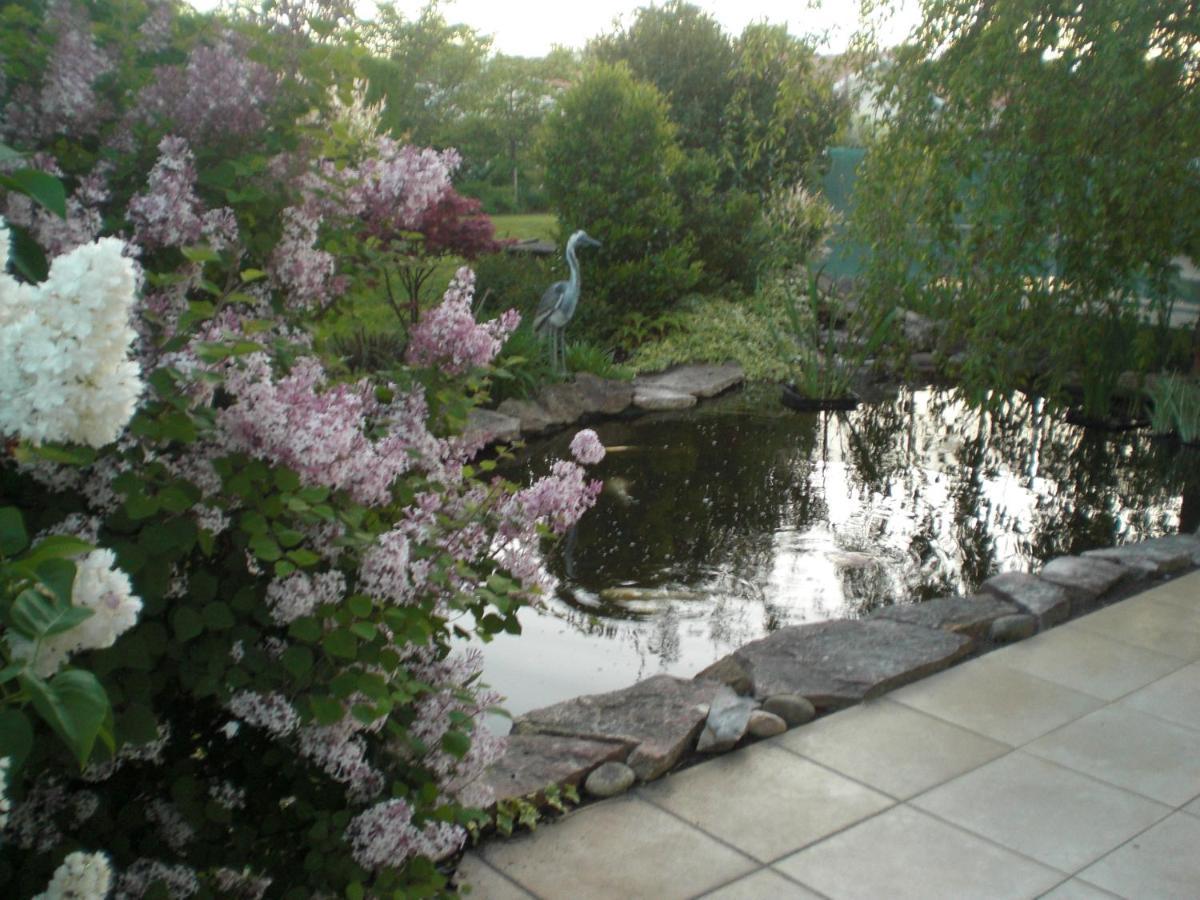 לינה וארוחת בוקר ביסקארוס Le Jardin De Nemo מראה חיצוני תמונה