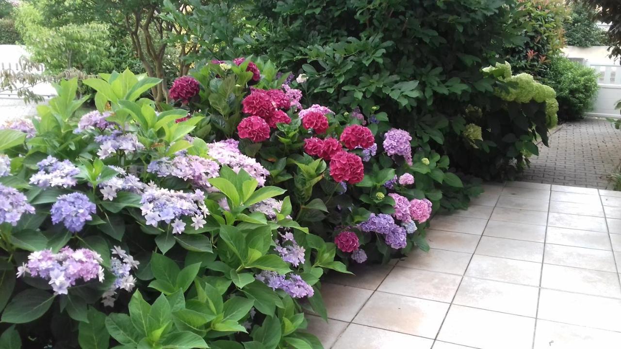לינה וארוחת בוקר ביסקארוס Le Jardin De Nemo מראה חיצוני תמונה